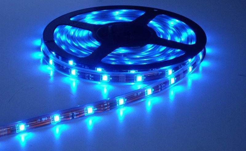 led�NƬ����